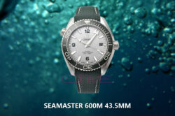 Seamaster 600M 43.5mm SS/RU Grey Brushed Dial VSF A8900 Super Clone